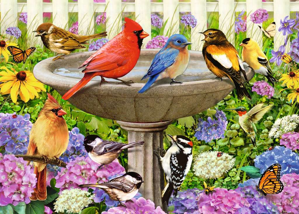 Puzzle: Large Format - At the Birdbath