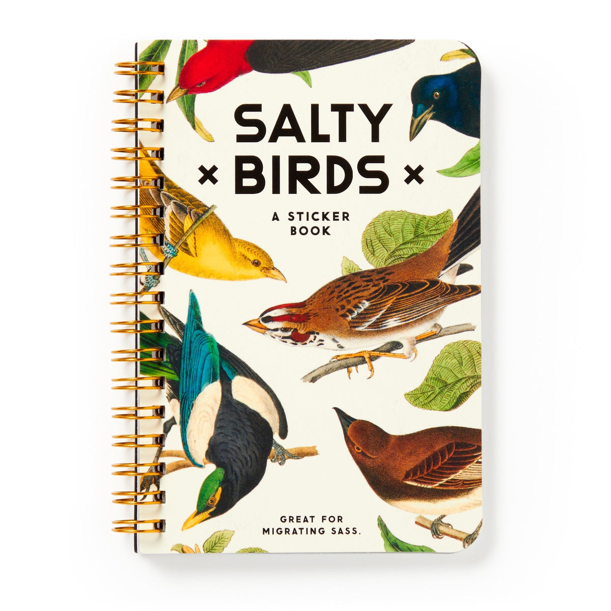 Brass Monkey: Salty Birds Sticker Book
