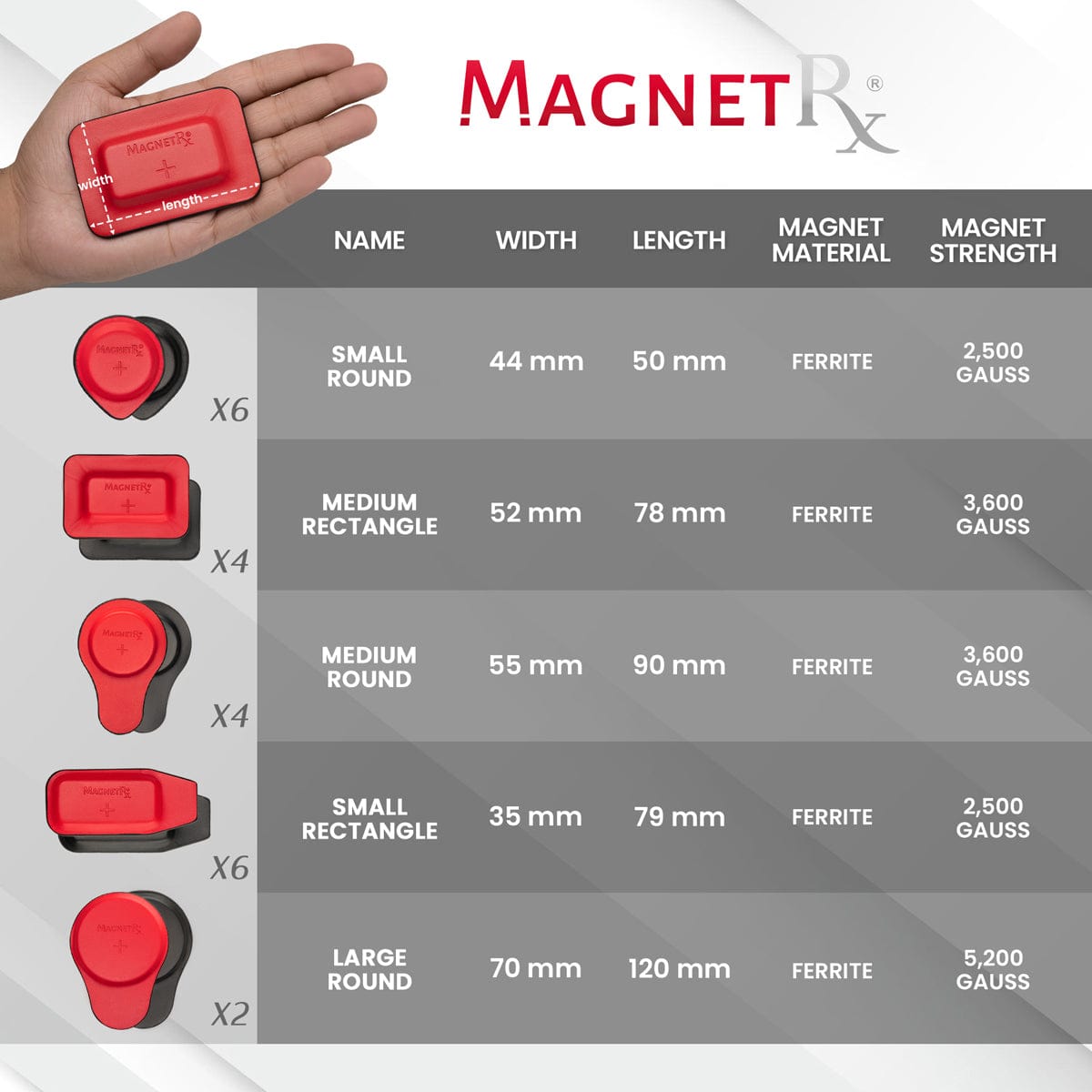 Biomagnetic Therapy Magnet Kit — Ferrite & Leather (22 Mixed Units)